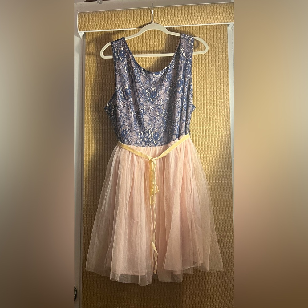 Women’s Lace & Tulle Sleeveless Skater Dress Size 4X
